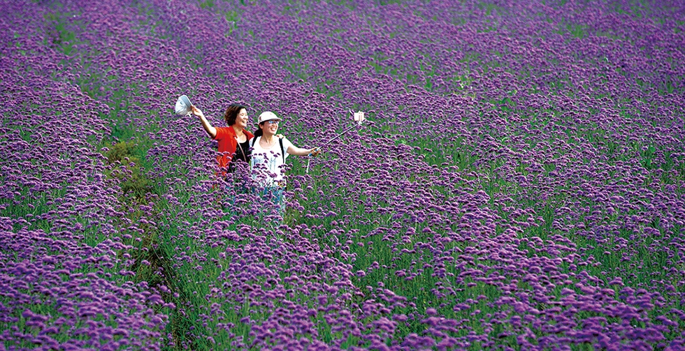 Top1����רҵ������Ѷ����������ƽ̨