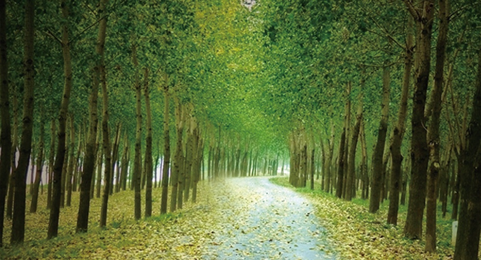 Top1����רҵ������Ѷ����������ƽ̨