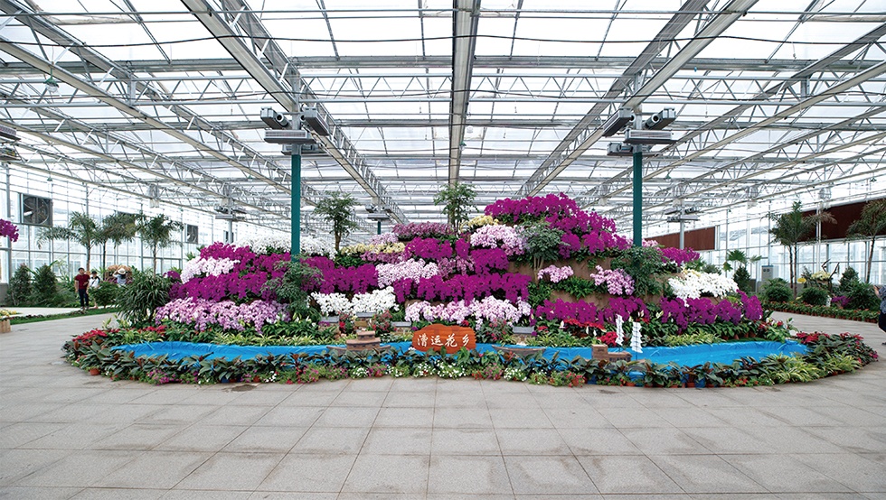 Top1����רҵ������Ѷ����������ƽ̨