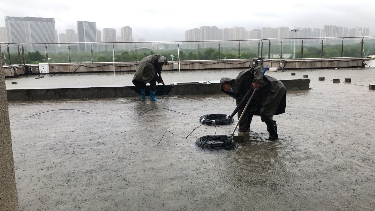 Top1����רҵ������Ѷ����������ƽ̨