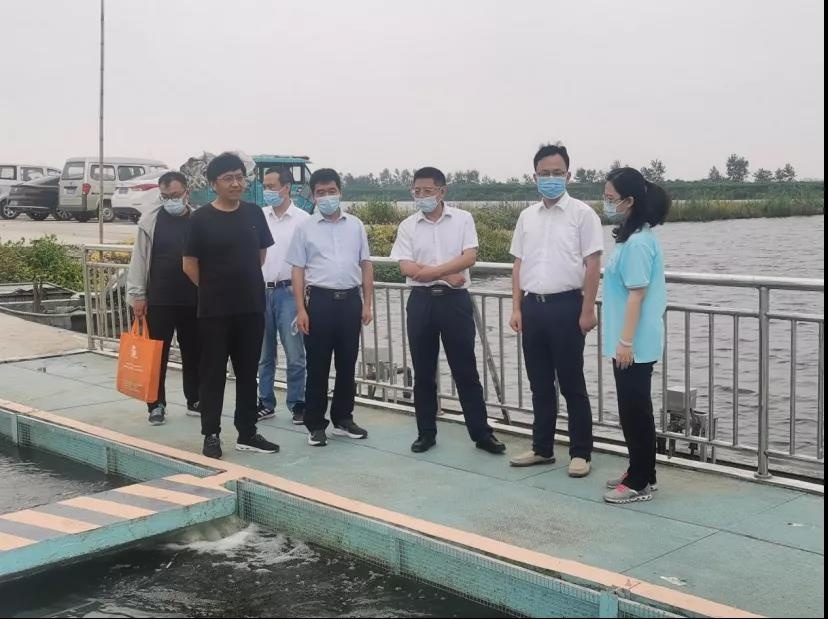 Top1����רҵ������Ѷ����������ƽ̨