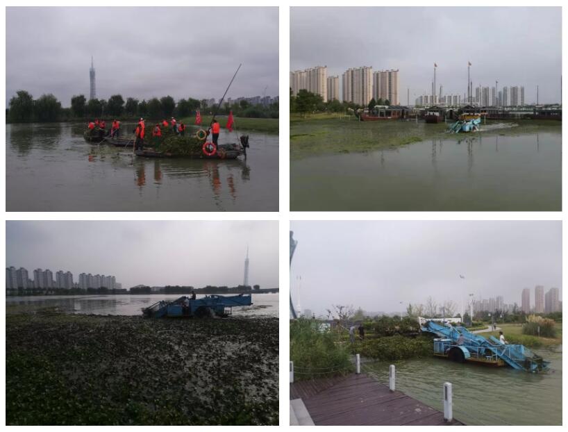 Top1����רҵ������Ѷ����������ƽ̨