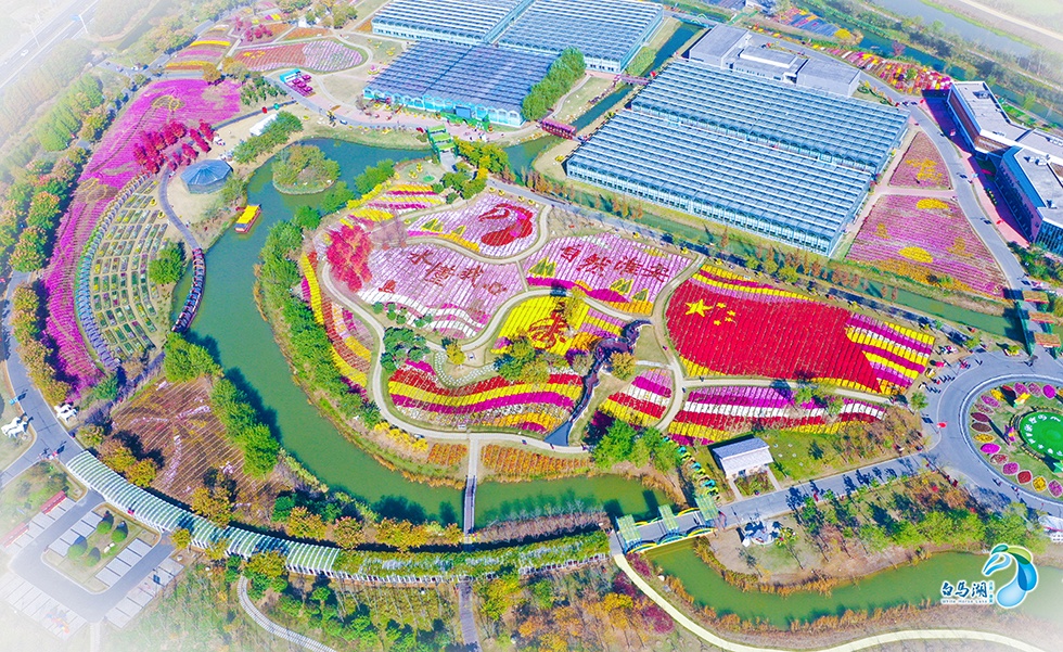 Top1����רҵ������Ѷ����������ƽ̨