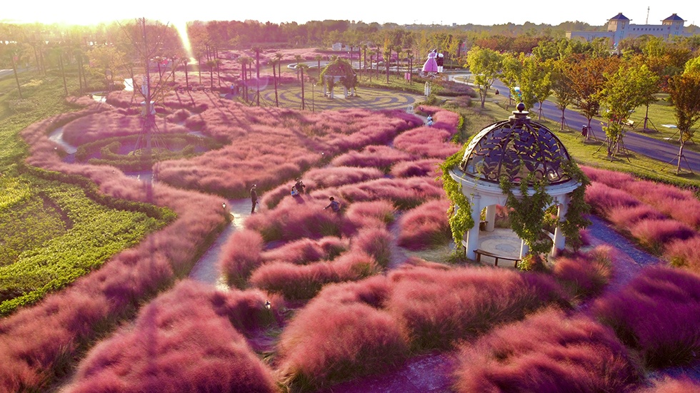 Top1����רҵ������Ѷ����������ƽ̨