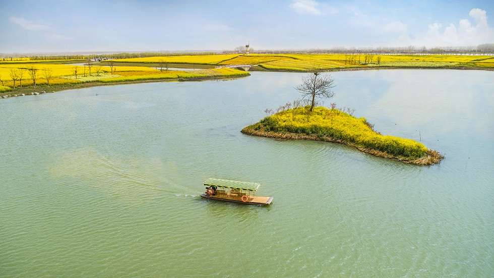 Top1����רҵ������Ѷ����������ƽ̨