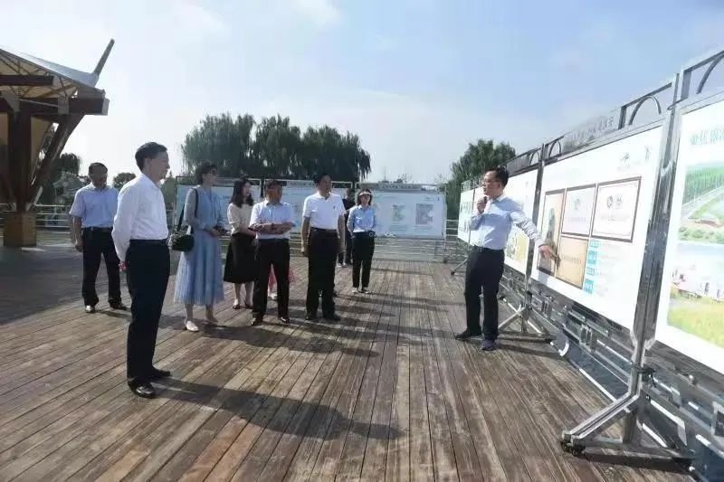 Top1����רҵ������Ѷ����������ƽ̨