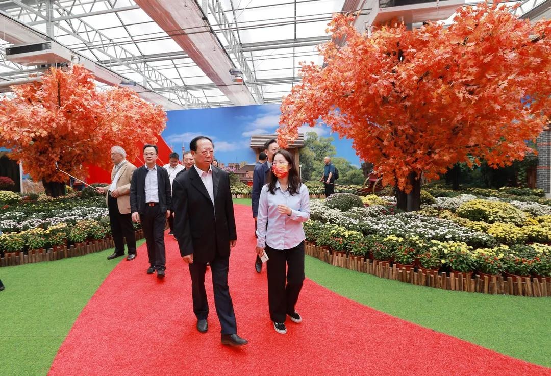 Top1����רҵ������Ѷ����������ƽ̨