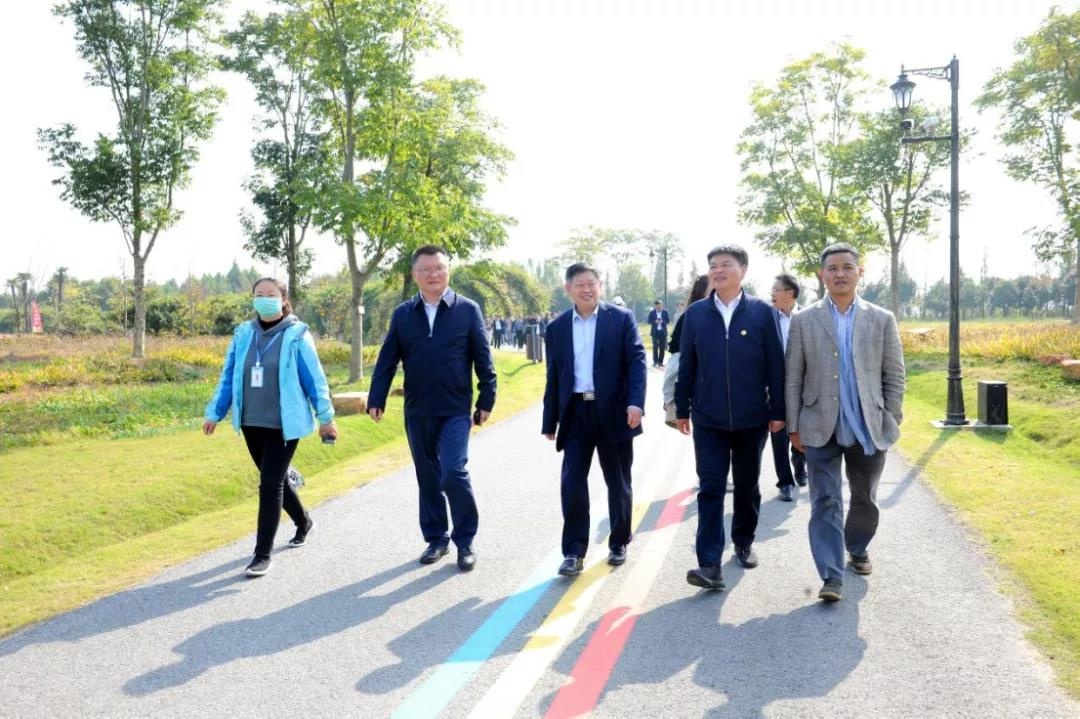 Top1����רҵ������Ѷ����������ƽ̨