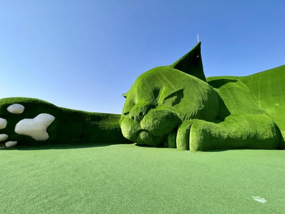 Top1����רҵ������Ѷ����������ƽ̨