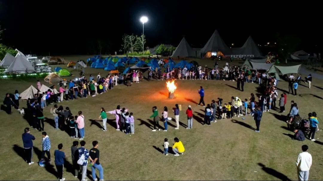 Top1����רҵ������Ѷ����������ƽ̨