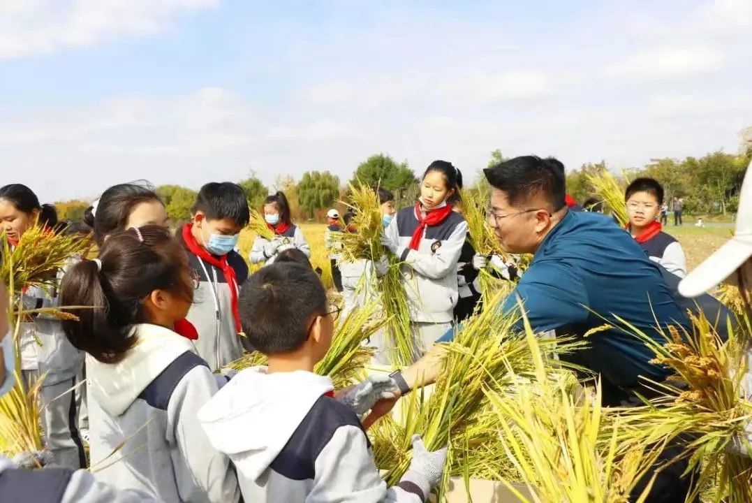 Top1体育专业体育资讯与赛事剖析平台