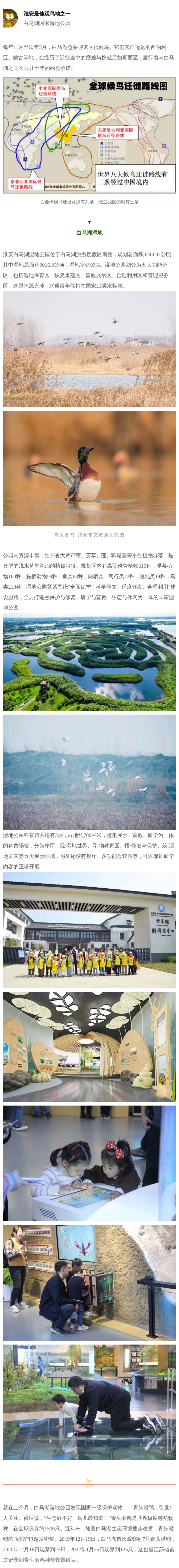 Top1����רҵ������Ѷ����������ƽ̨