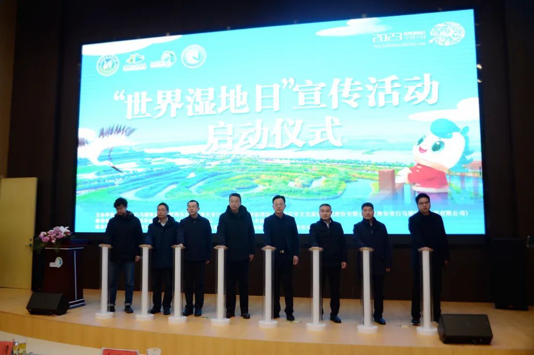 Top1����רҵ������Ѷ����������ƽ̨