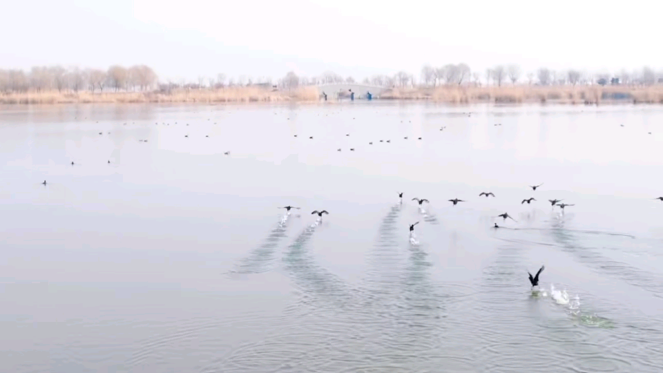 Top1����רҵ������Ѷ����������ƽ̨