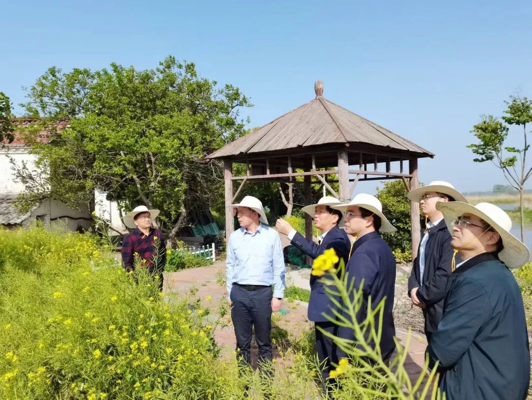 Top1����רҵ������Ѷ����������ƽ̨