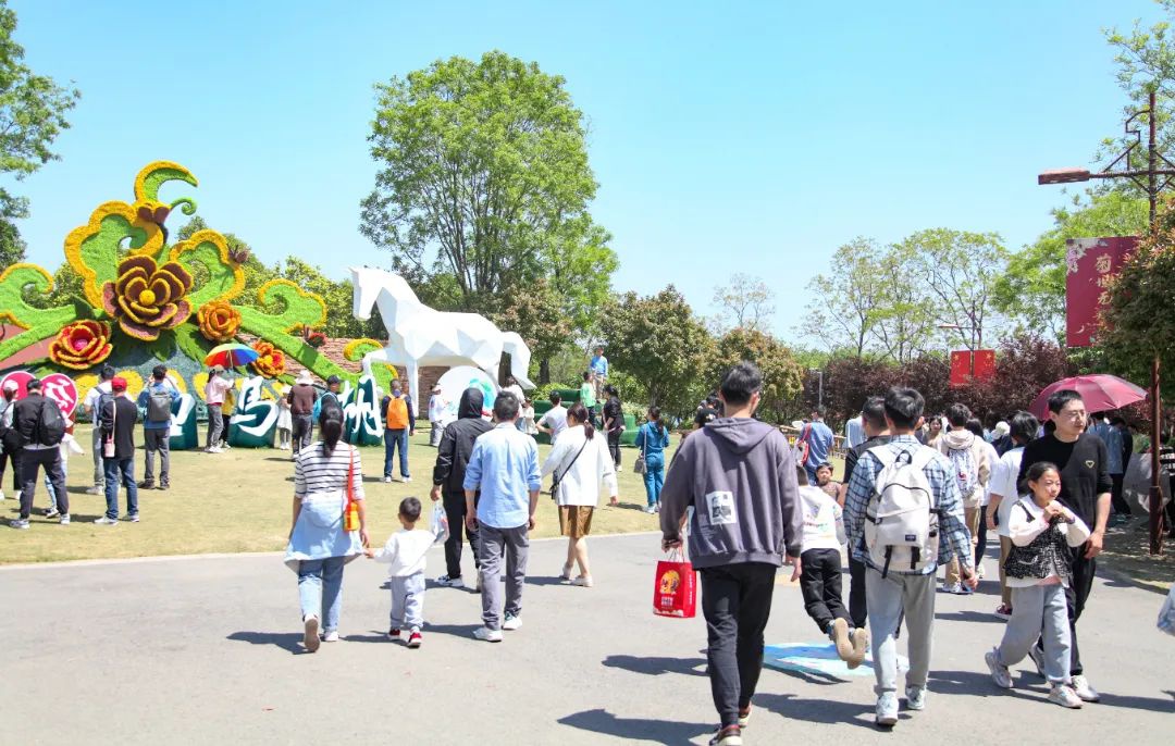 Top1����רҵ������Ѷ����������ƽ̨