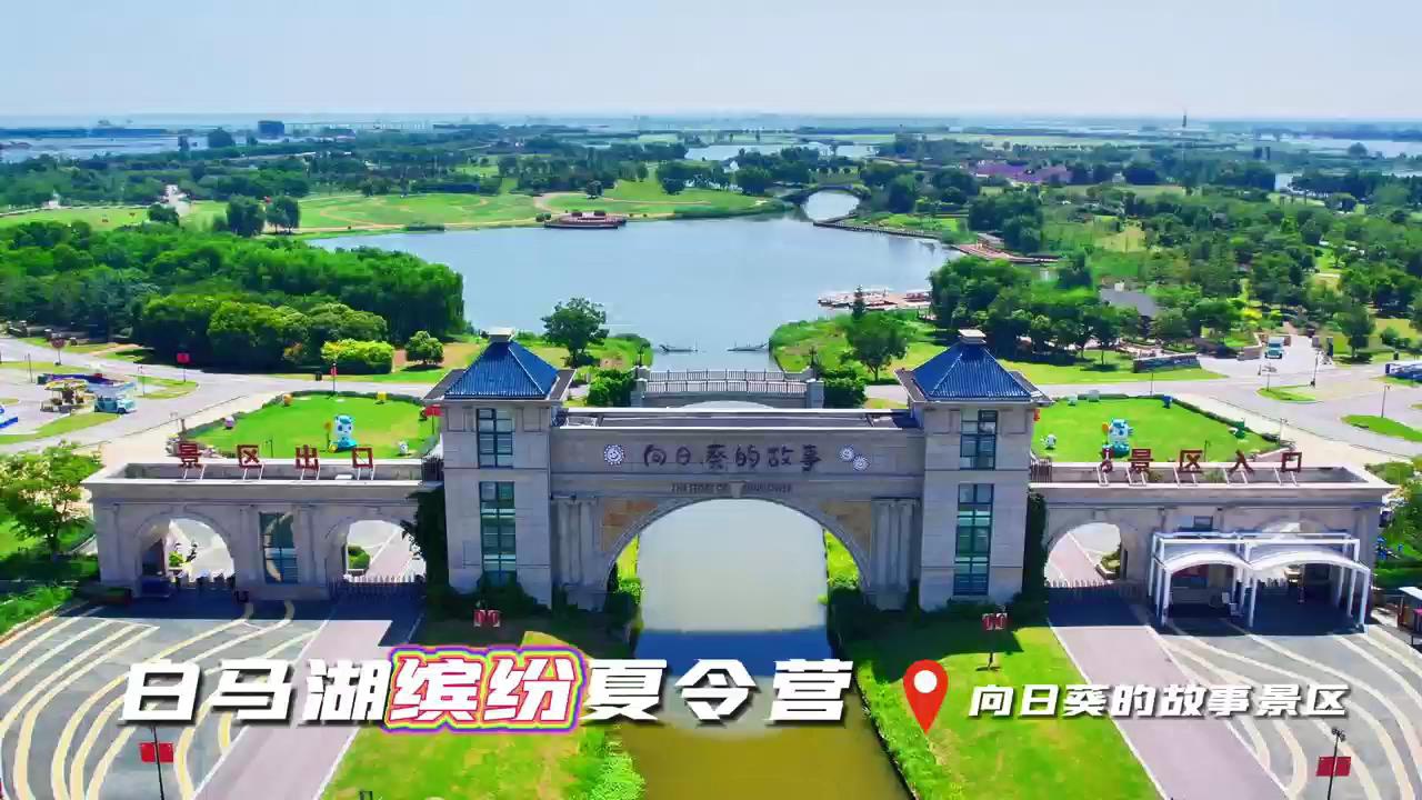 Top1����רҵ������Ѷ����������ƽ̨