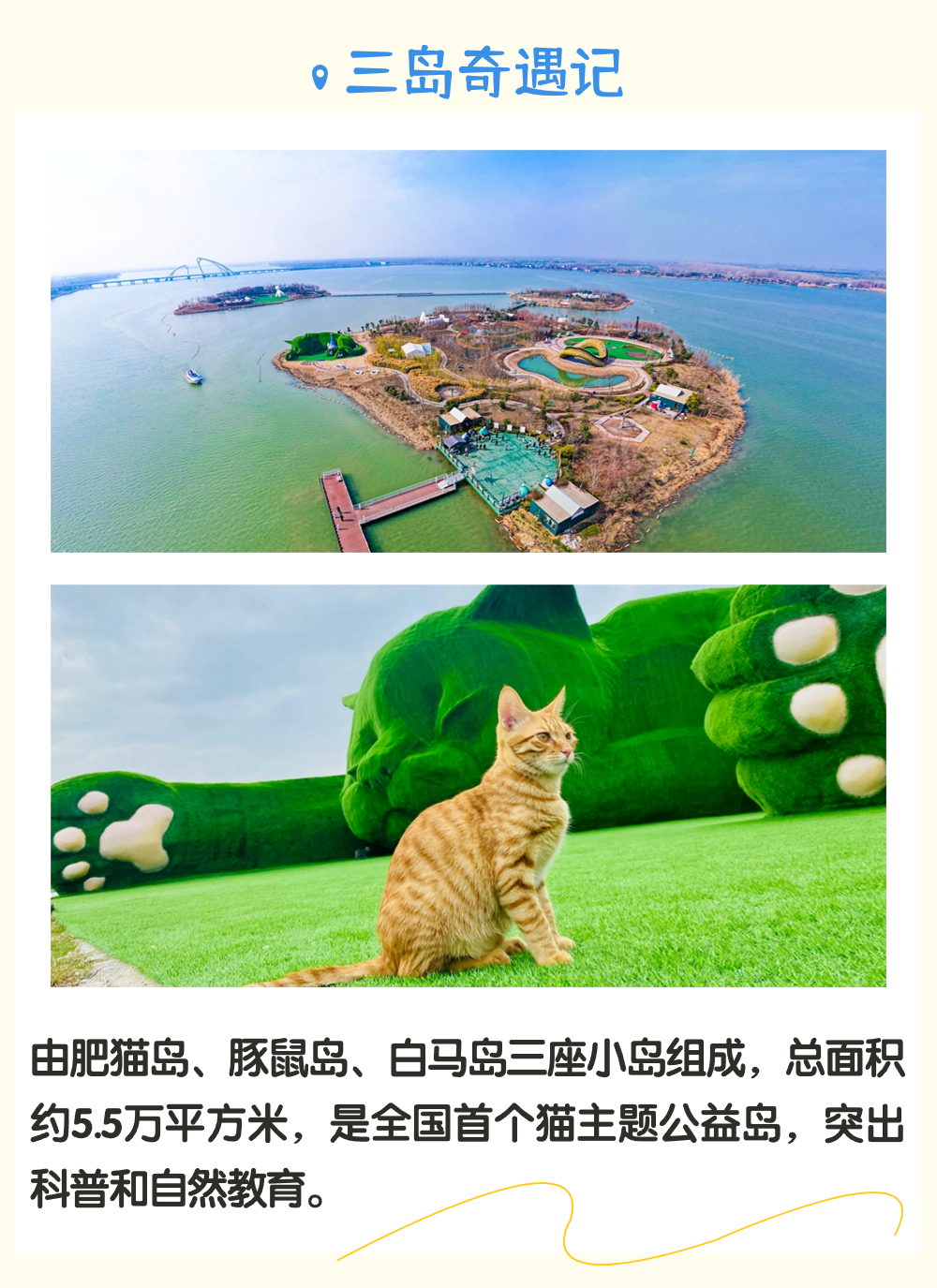 Top1����רҵ������Ѷ����������ƽ̨