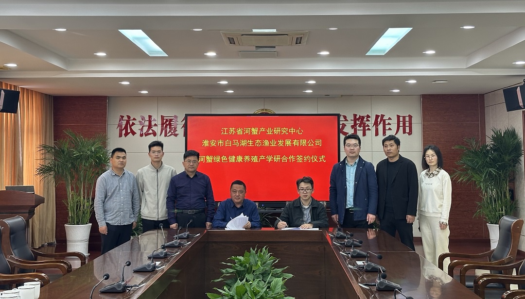 Top1����רҵ������Ѷ����������ƽ̨