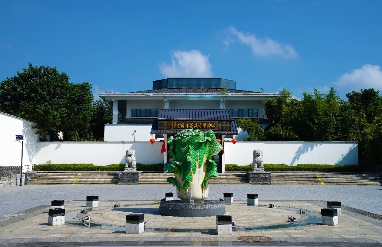 Top1����רҵ������Ѷ����������ƽ̨