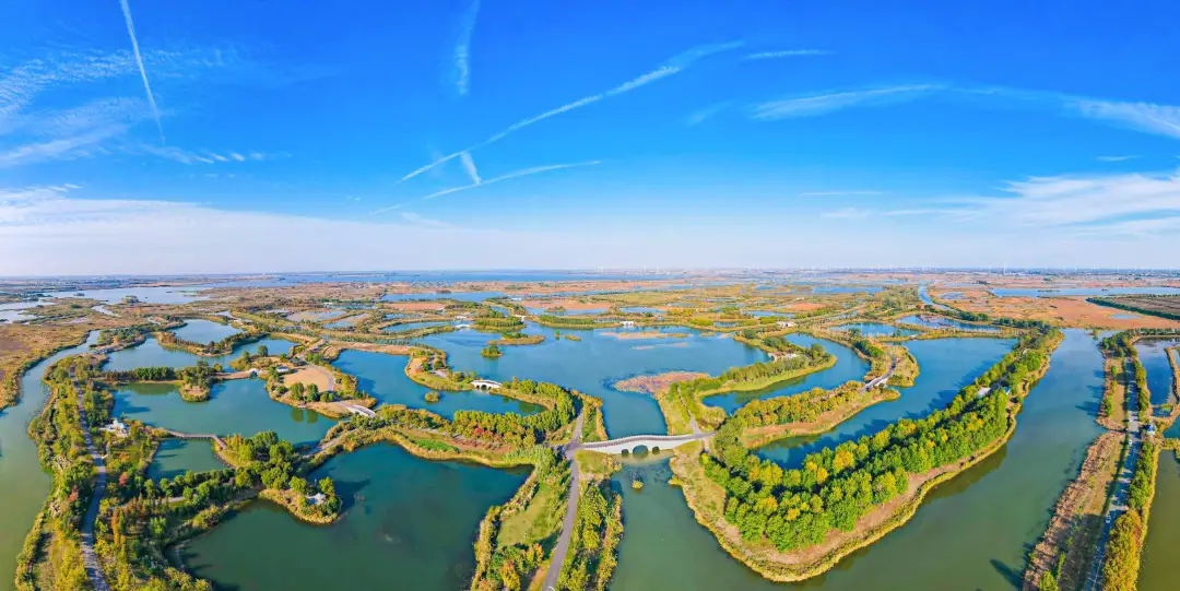 Top1����רҵ������Ѷ����������ƽ̨