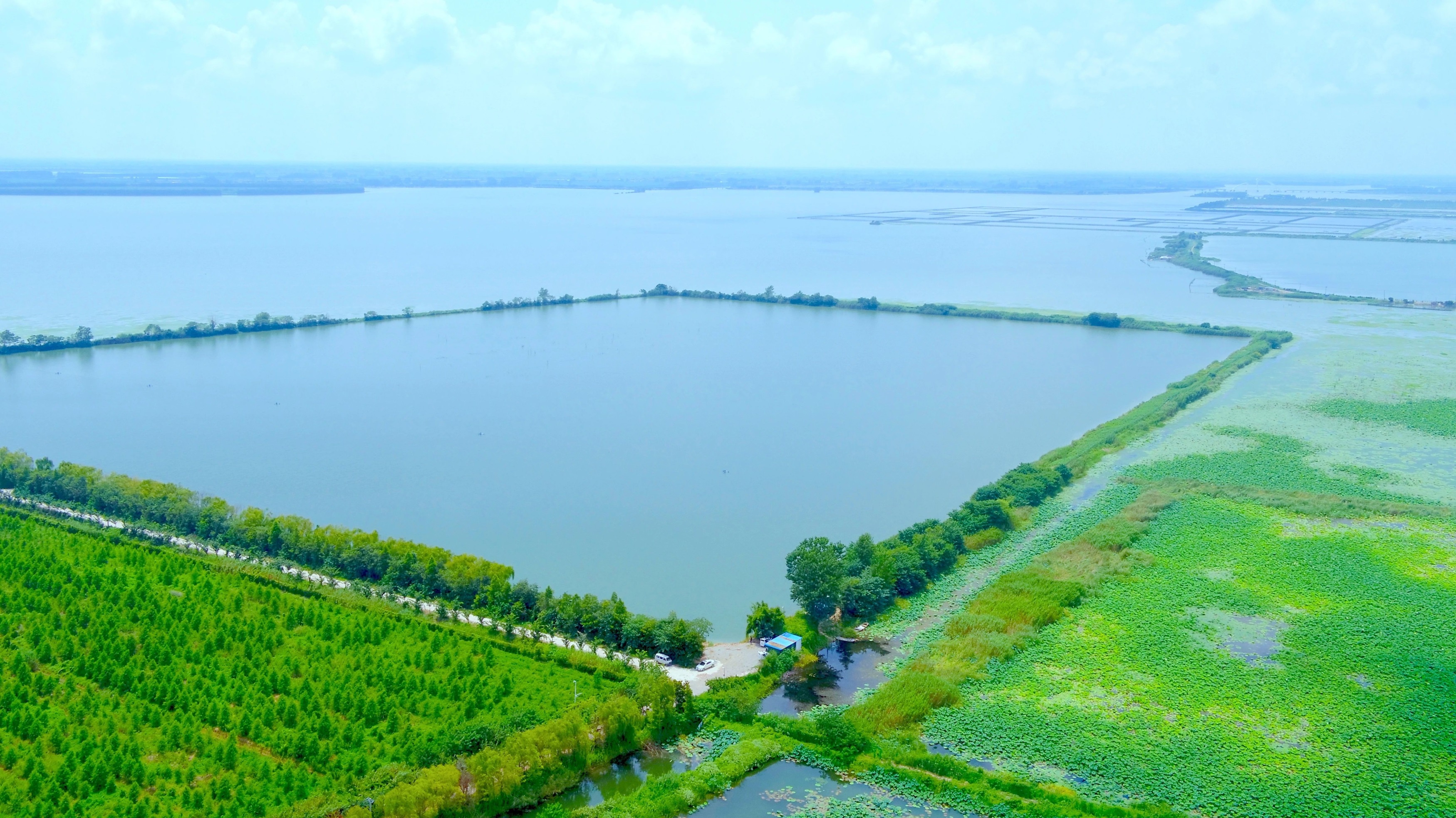 Top1����רҵ������Ѷ����������ƽ̨