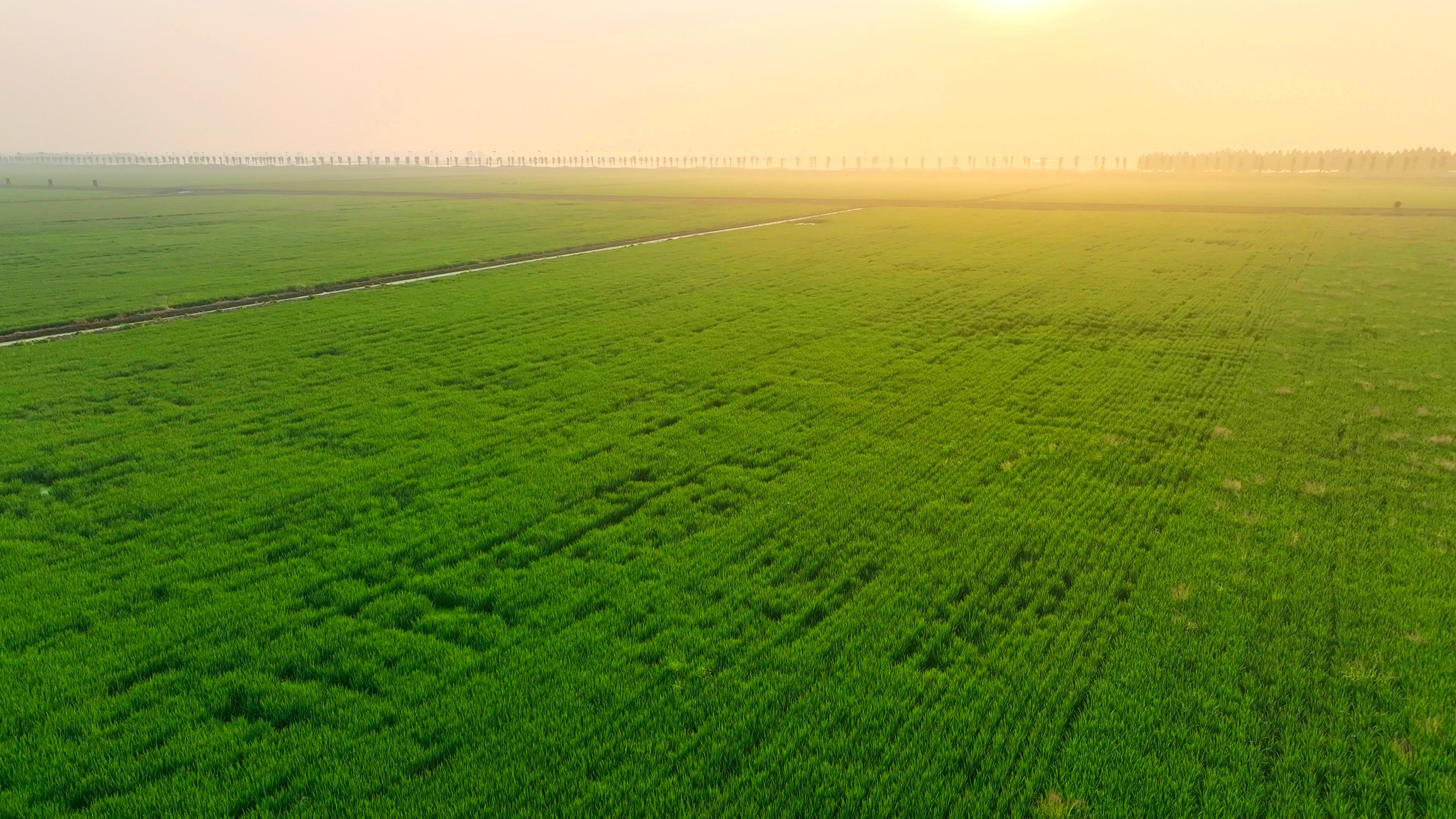 Top1����רҵ������Ѷ����������ƽ̨