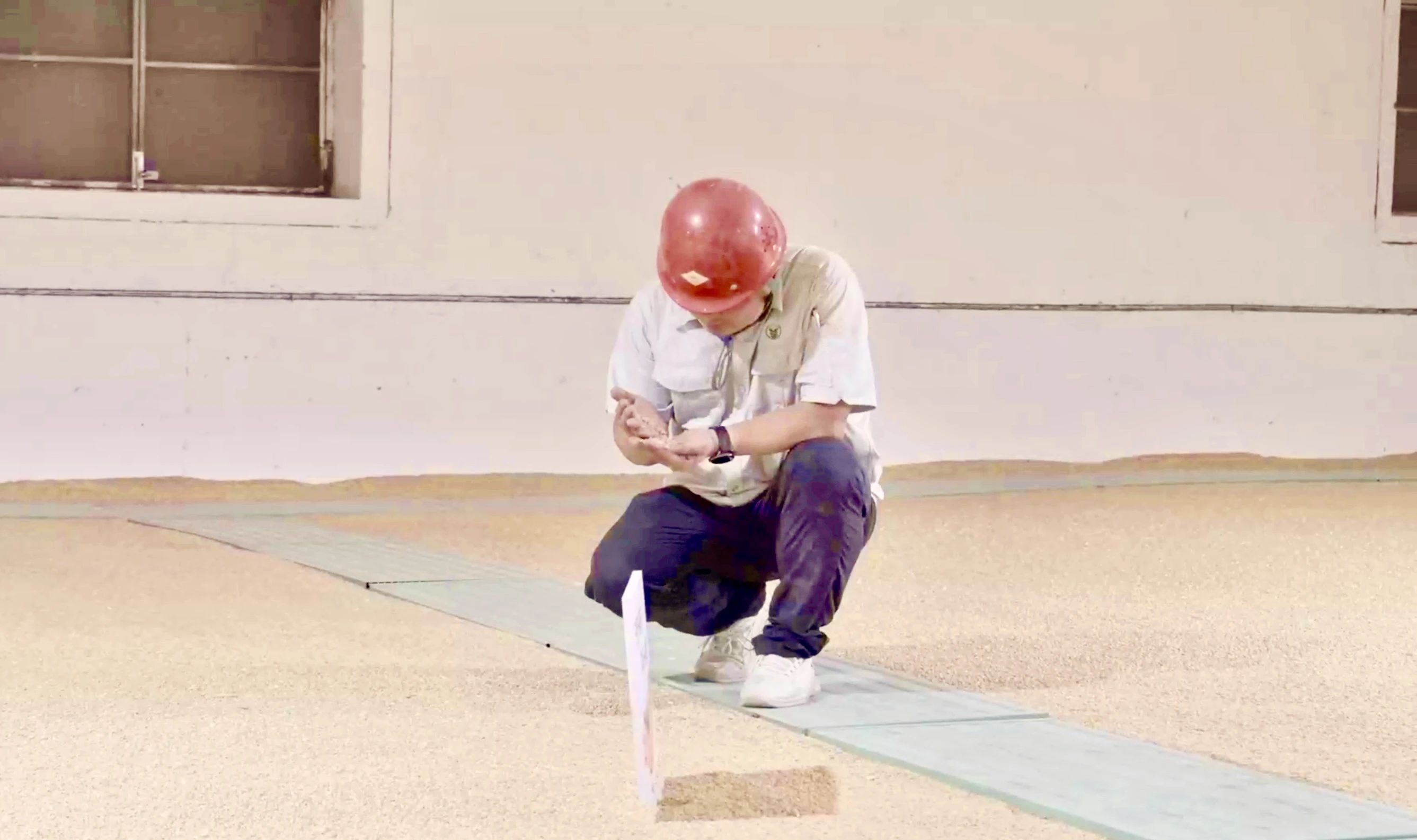 Top1体育专业体育资讯与赛事剖析平台