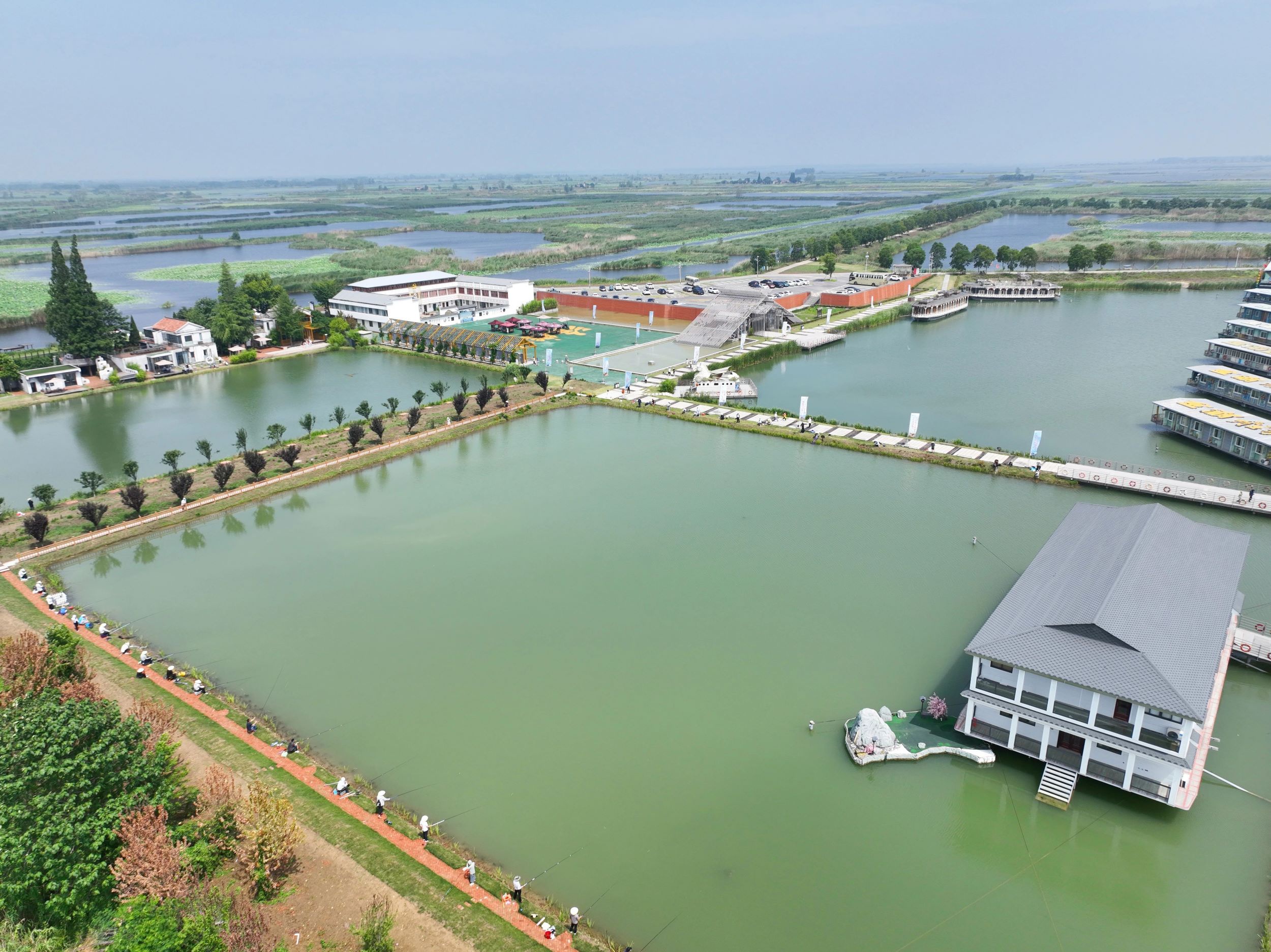 Top1����רҵ������Ѷ����������ƽ̨