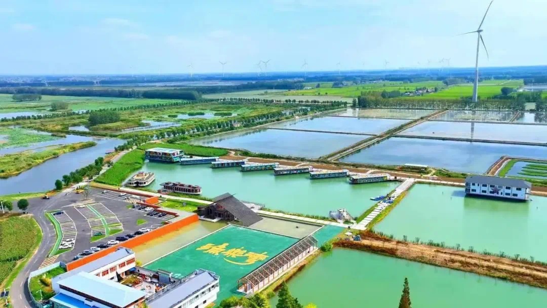 Top1����רҵ������Ѷ����������ƽ̨