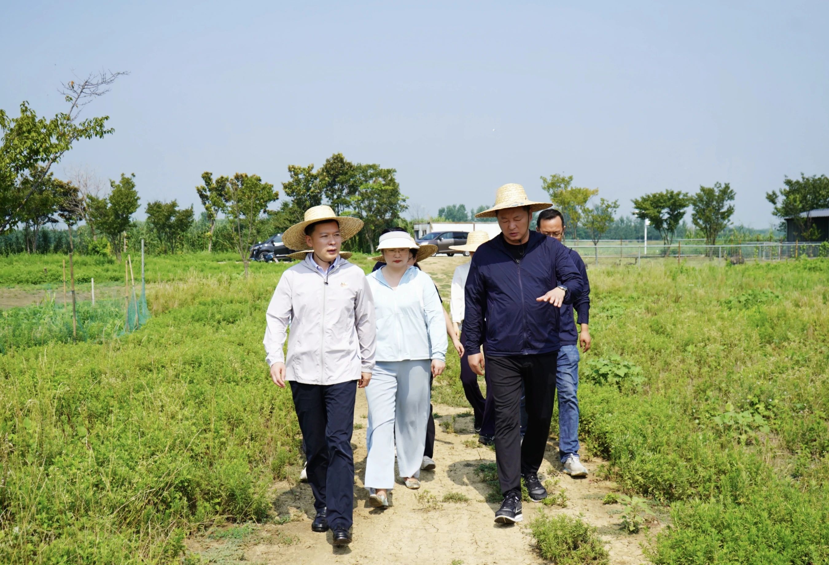 Top1����רҵ������Ѷ����������ƽ̨