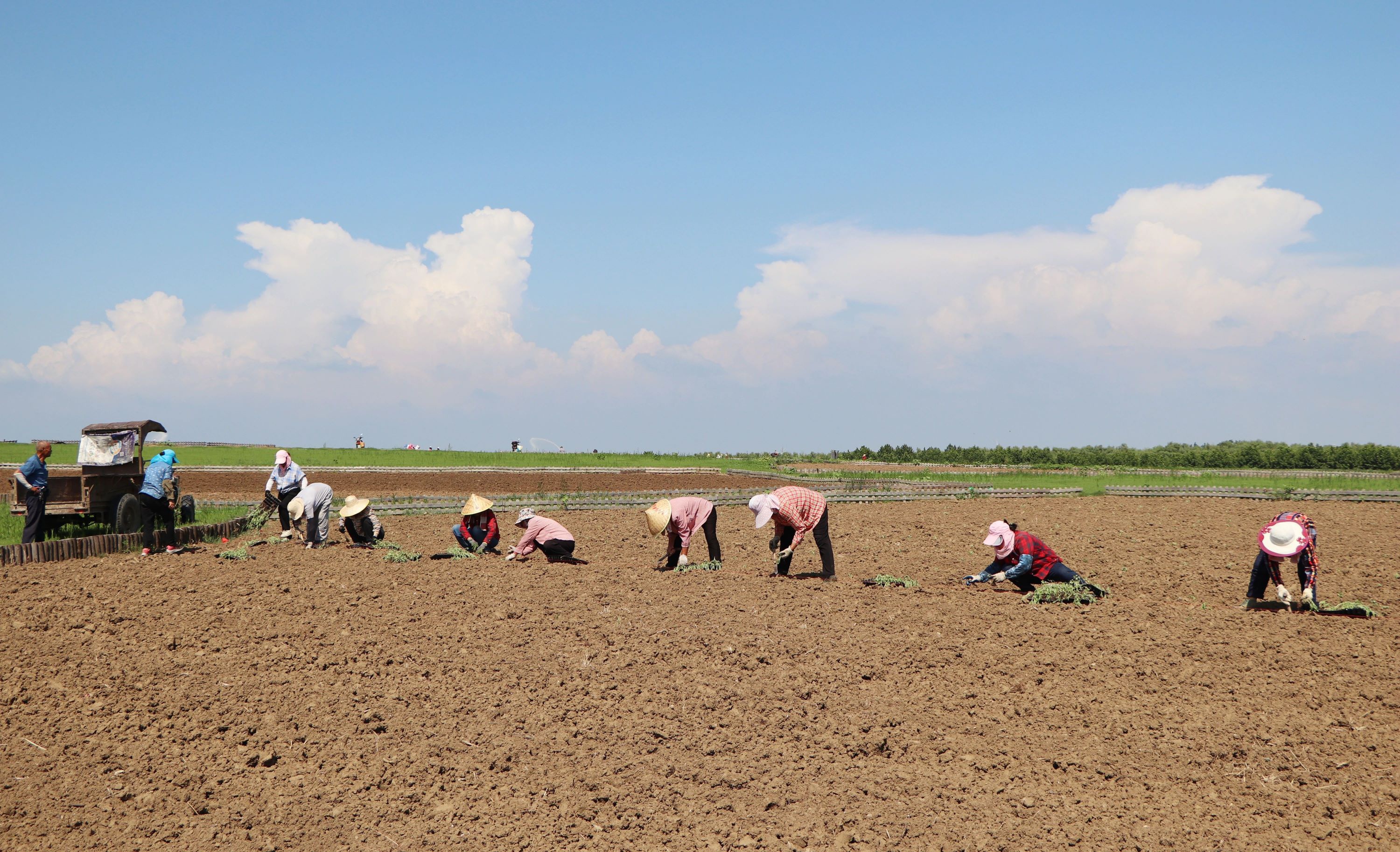 Top1����רҵ������Ѷ����������ƽ̨