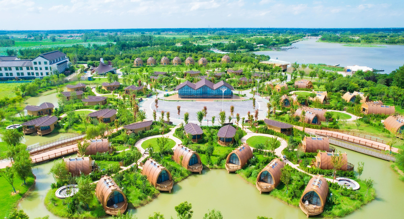 Top1����רҵ������Ѷ����������ƽ̨