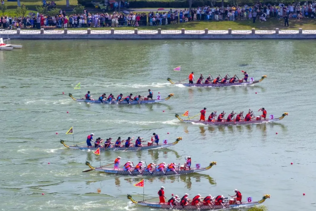 Top1����רҵ������Ѷ����������ƽ̨