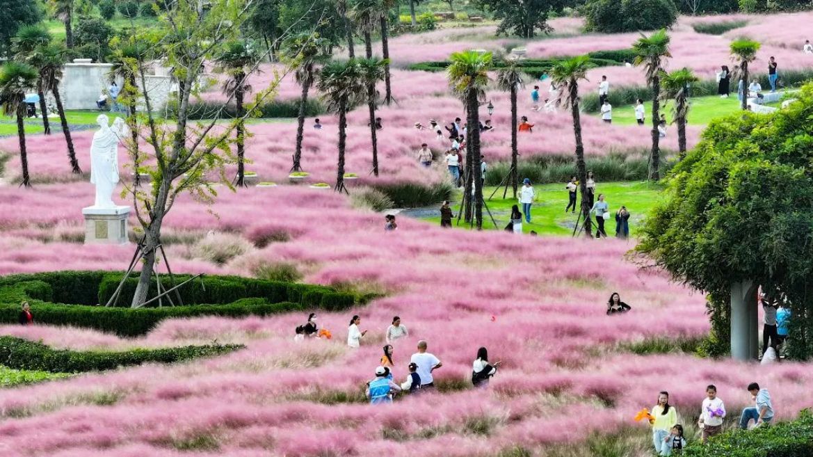 Top1����רҵ������Ѷ����������ƽ̨