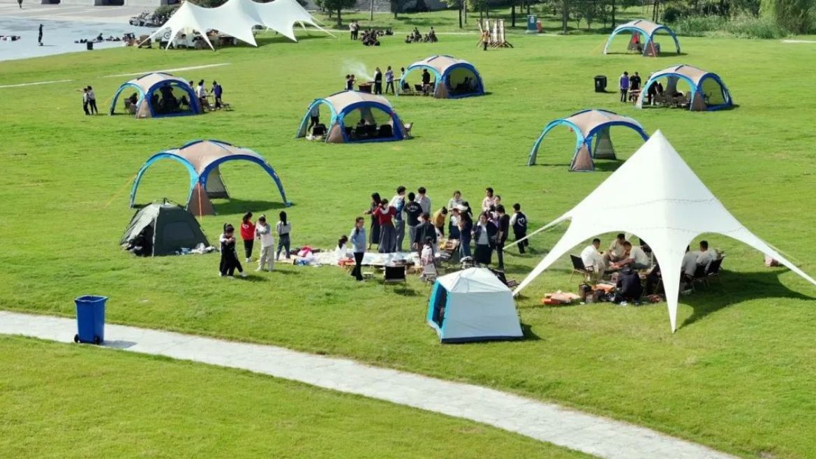 Top1����רҵ������Ѷ����������ƽ̨