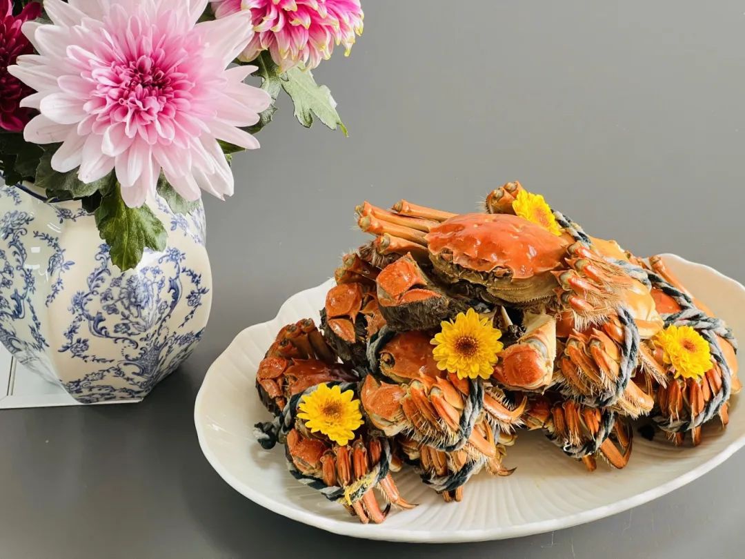 Top1����רҵ������Ѷ����������ƽ̨