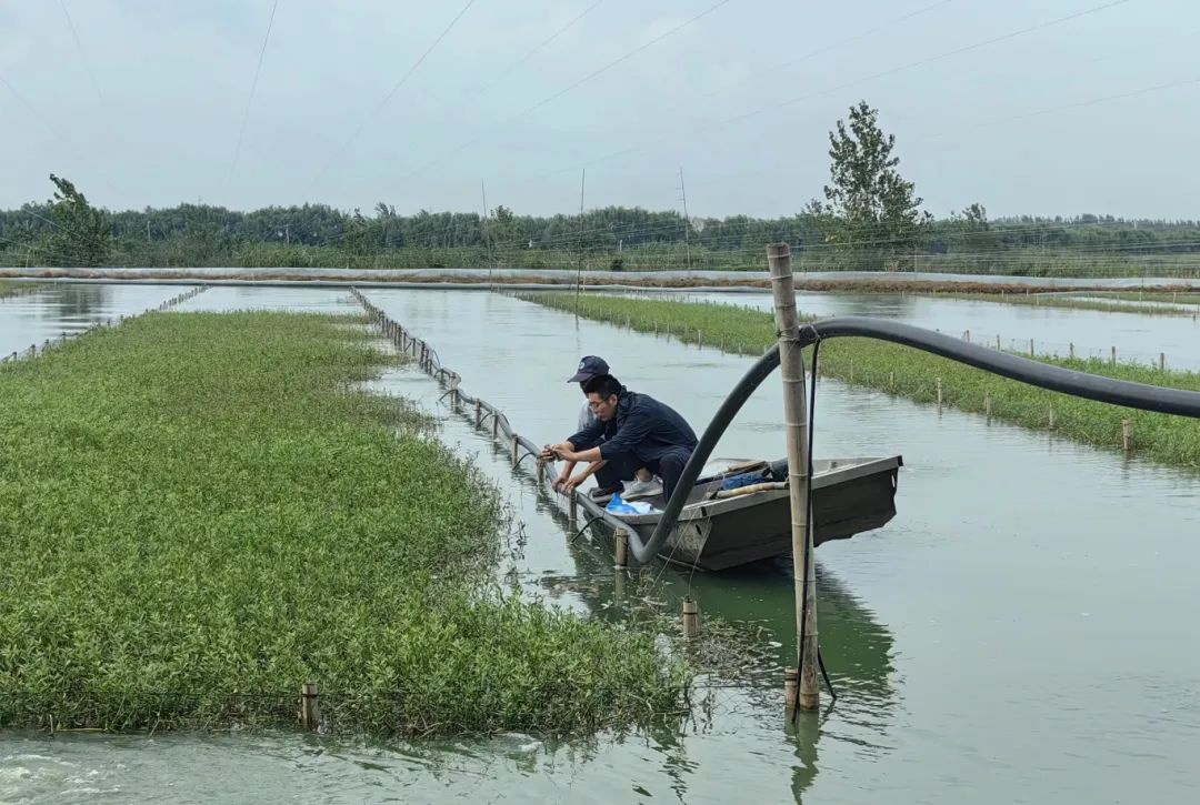 Top1����רҵ������Ѷ����������ƽ̨