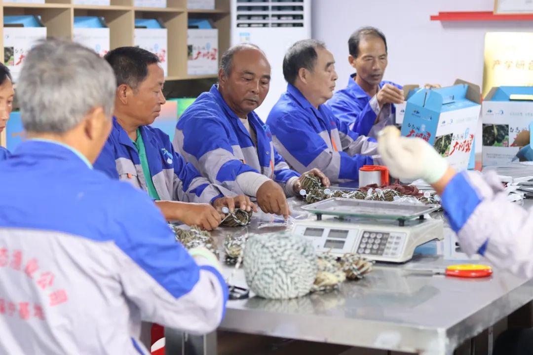 Top1����רҵ������Ѷ����������ƽ̨