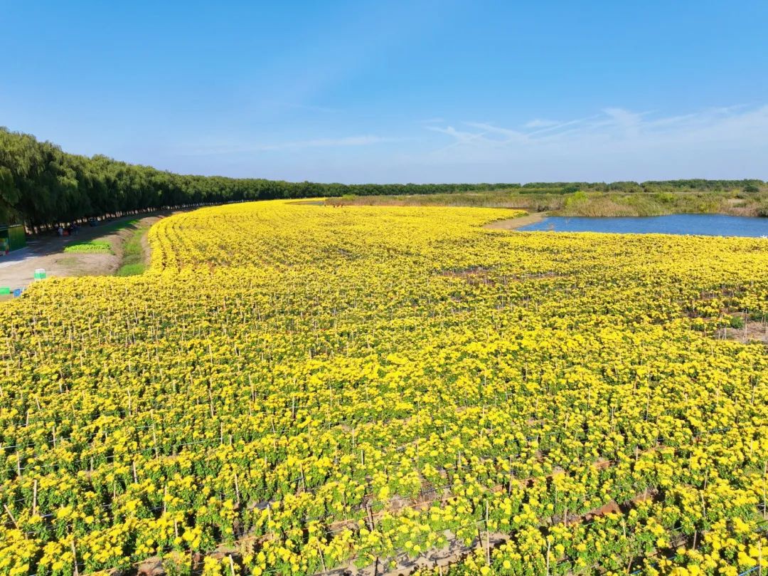 Top1����רҵ������Ѷ����������ƽ̨