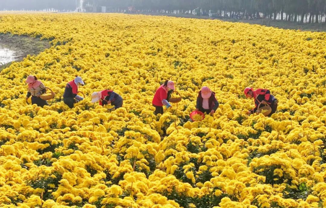 Top1ÌåÓýרҵÌåÓý×ÊѶÓëÈüÊÂÆÊÎöƽ̨