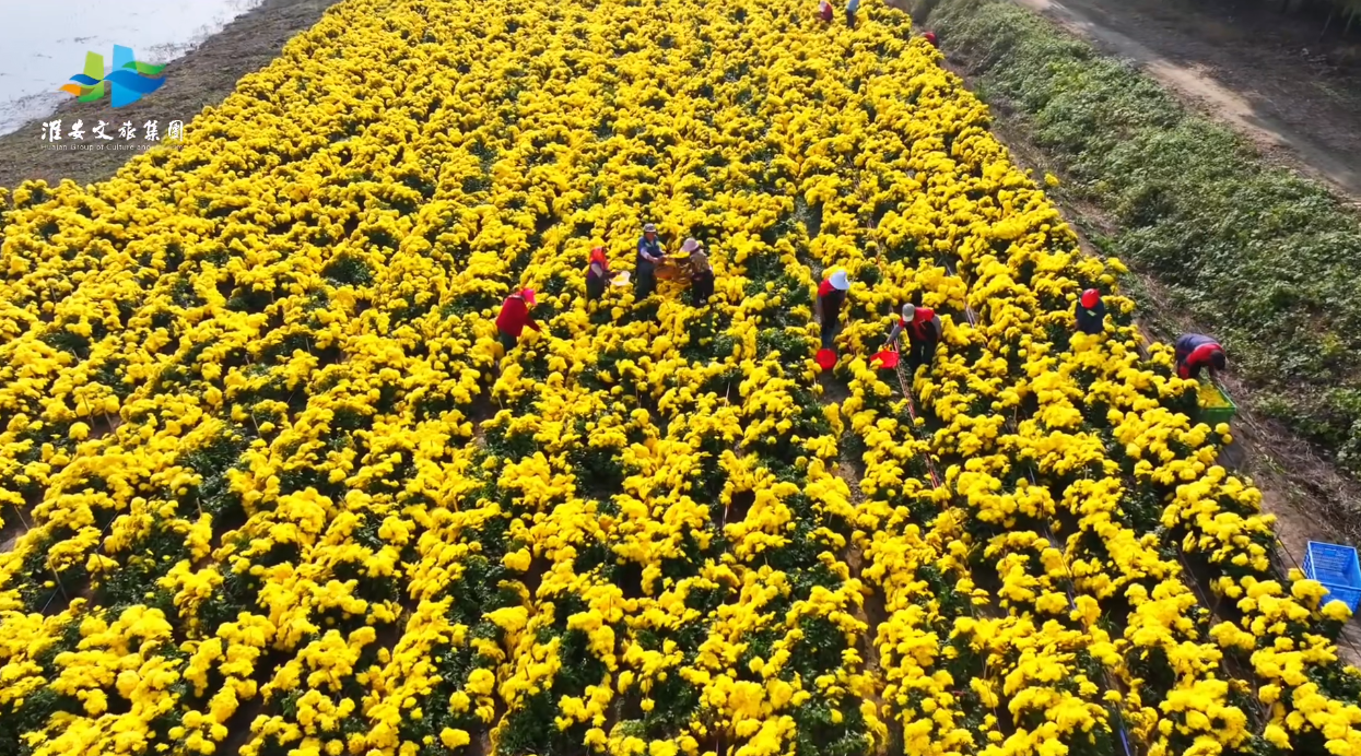 Top1����רҵ������Ѷ����������ƽ̨