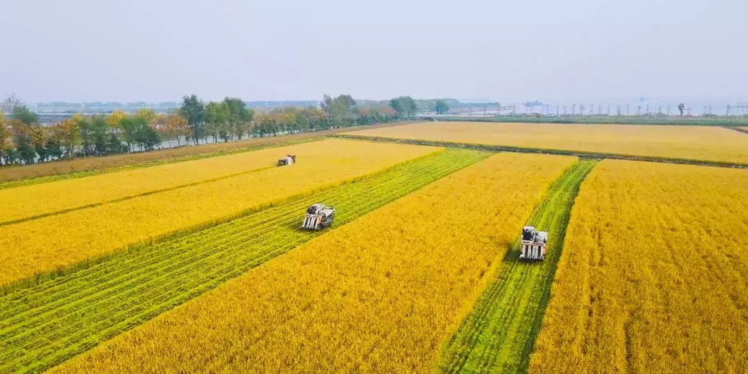 Top1����רҵ������Ѷ����������ƽ̨