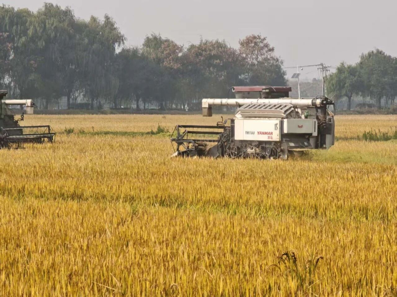 Top1ÌåÓýרҵÌåÓý×ÊѶÓëÈüÊÂÆÊÎöƽ̨