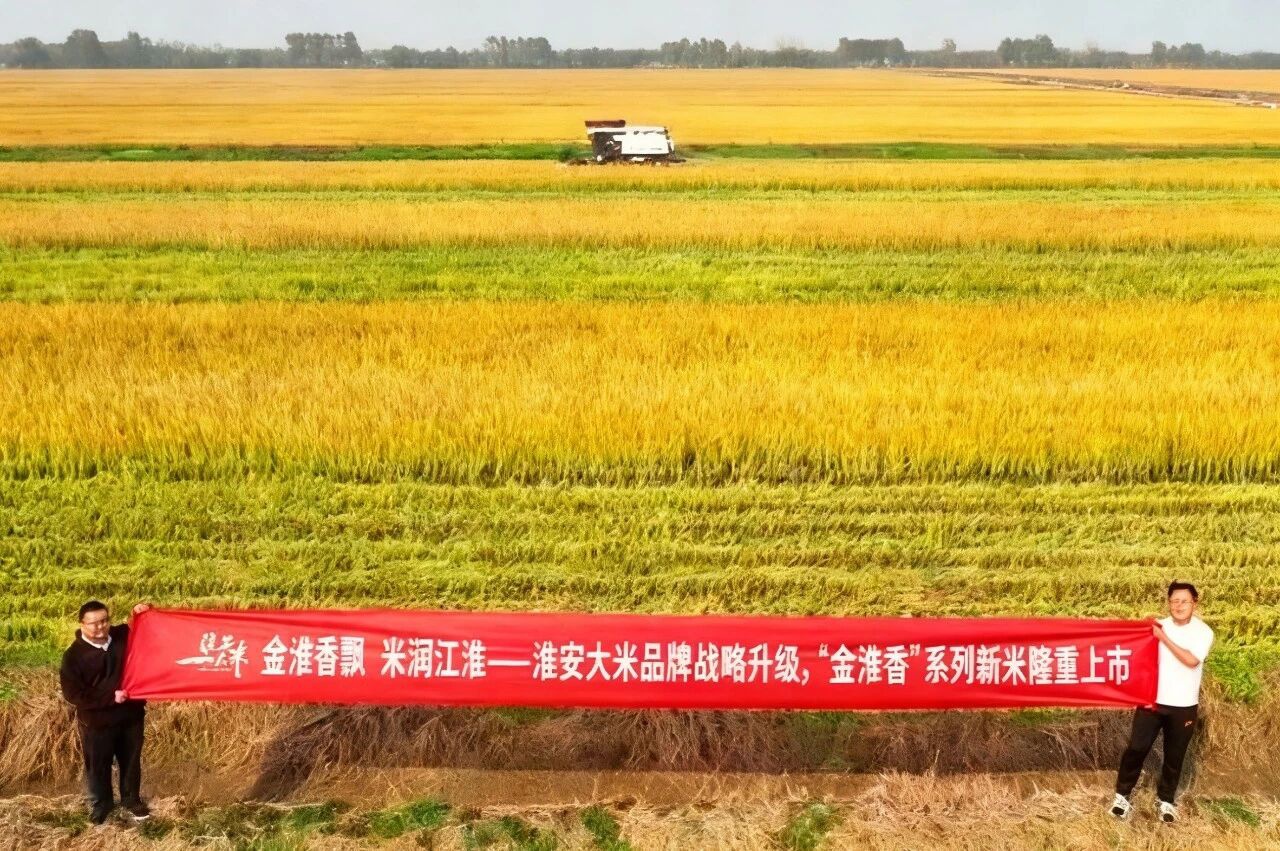 Top1����רҵ������Ѷ����������ƽ̨